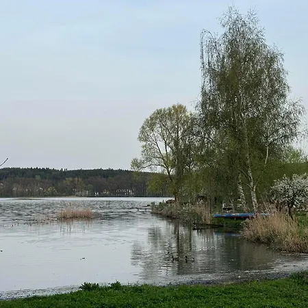 Daire Putim *